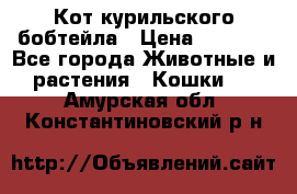 Кот курильского бобтейла › Цена ­ 5 000 - Все города Животные и растения » Кошки   . Амурская обл.,Константиновский р-н